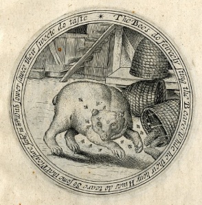 The bear and the honeybees a trencher copied from Gheeraerts's illustrations to Aesop Engraving Diameter 127 mm Netherlands plates 1620 reprinted Britain 1630 smaller